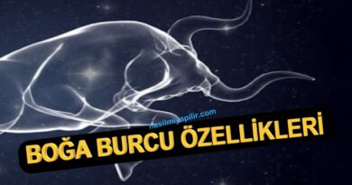 Boğa Burcu Özellikleri Neler? Günlük Burç Yorumları