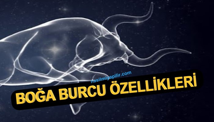 Boğa Burcu Özellikleri Neler? Günlük Burç Yorumları