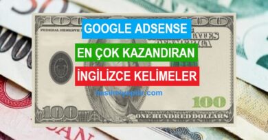 Google AdSense En Çok Kazandıran İngilizce Kelimeler