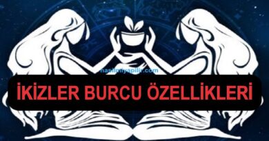 İkizler Burcu Özellikleri Neler? Günlük Burç Yorumları