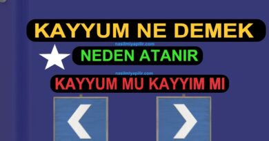 Kayyum Ne Demek? Kayyum Neden Atanır?