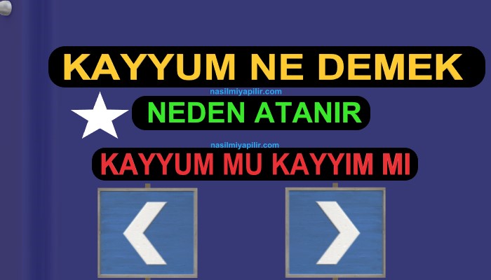 Kayyum Ne Demek? Kayyum Neden Atanır?