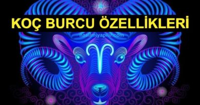 Koç Burcu Özellikleri Neler? Günlük Burç Yorumları