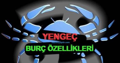 Yengeç Burcu Özellikleri Neler? Günlük Burç Yorumları