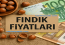 2025’te Serbest Piyasada Fındık Fiyatları Ne Kadar?