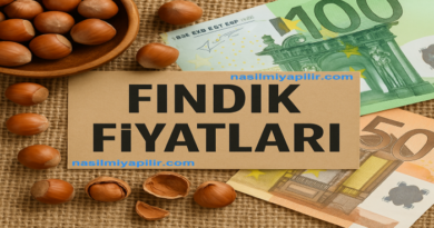2025’te Serbest Piyasada Fındık Fiyatları Ne Kadar?