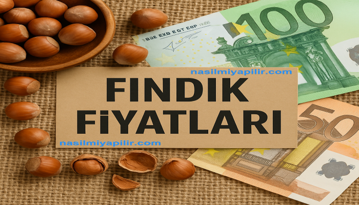2025’te Serbest Piyasada Fındık Fiyatları Ne Kadar?