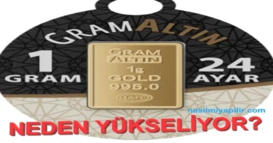 Gram Altın Neden Yükseliyor?
