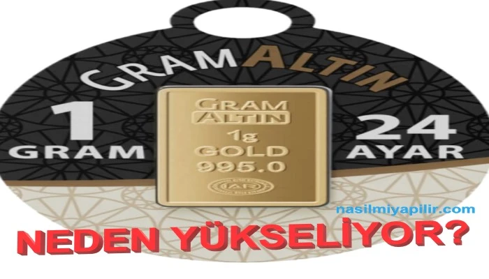 Gram Altın Neden Yükseliyor?